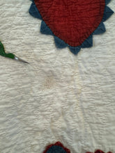 Load image into Gallery viewer, The Helen