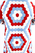 Load image into Gallery viewer, Duster