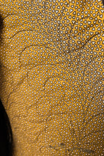 Load image into Gallery viewer, The Oversized Market Jacket