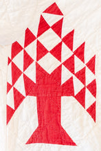 Load image into Gallery viewer, The Duster