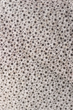 Load image into Gallery viewer, The Helen
